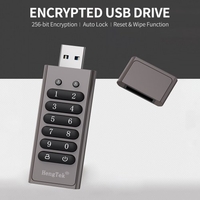 128GB 256-Bit verschlüsseltes USB-Laufwerk Passwort Sicheres Flash-Laufwerk USB3.0 U Disk-Unterstützung Reset/Wipe/Auto Lock-Funktion,  Grau