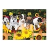 14*17 Zoll Tiere DIY 5D Diamant Malerei Kit Vollbohrer Diamant Malerei Katze Hunde Blumenmuster Acryl Strass Mosaik Malerei Handwerk Home Wall Decor Geschenk Rahmenlos