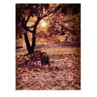 1.5 * 2m / 4, 9 * 6.5FT Fotografie Hintergrund Computer ausgedruckt Herbst Muster für Kinder Jugendliche Baby Neugeborenes Haustier-Foto-Studio-Portrait Shooting