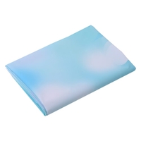 1.5 * 3m / 4.9 * 9.8ft Video Studio Foto Hintergrund Hintergrund Digital gedruckt blau Klassische Wand Holzboden Muster für Teenager Erwachsene Kind Kinder Porträt Fotografie