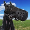 3 Größe Optional Easy Breathe Pferdemund-Abdeckung Pony Nylon Weidende Schnauze mit Halter unter dem Kinnkopf Kragen einstellbar