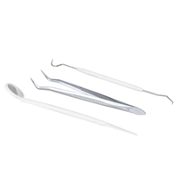3 stücke Edelstahl Dental Tools Kit Doppelkopf Dental Tool Zähne Schaber Dental Probe Set für Persönliche & Professionelle Nutzung
