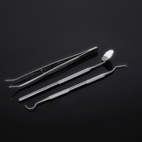 3 teile / paket Dentalhygiene Werkzeuge Kit Zahnarzt Set Dental Sonde Spiegel Pinzette Edelstahl Zahnpflege Reinigung