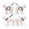 3 teile / satz Hundehalsband & Harness & Leine Set Einstellbare Kragen Harness 1, 2 mt Walking Leine XS / S / M / L Größe für Kleine / mittlere / Große Hunde katzen