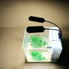AC220V 15W 36 LEDs Dual-End-Aquariumlicht-Fischglas-Lampe