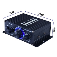 AK170 Mini Audio Leistungsverstärker Tragbarer Lautsprecherverstärker für Auto und Privat