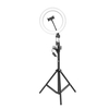 Aluminiumlegierung Fotografie LED Selfie Ring Licht Dimmbare Fotokamera Telefon Ringlampe mit 1, 6 m Stativ für Make-up Video Live Studio Drei-Gang-Dimmmodi 10 Stufen der Helligkeitseinstellung