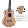 ammoon 24" Ukulele 4 Strings Zebrawood Board Rosewood Fretboard OX Bone Sattel Musical Instrument Geschenk vorhanden