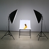 Andoer LED Fotografie Studio Beleuchtung Beleuchtungssatz mit 2 * 30W LED Lampe + 2 * Softbox * 2 * Licht Stand + 1 * Tragetasche