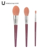 Jordan Judy 3 Stück Make-up Pinsel Set für Foundation Blush Lidschatten Puder Kosmetik Pinsel Kit Ideales Geschenk für Freundin Anfänger