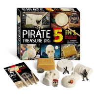 Piratenschätze Ausgrabungsset mit 5 Steinen Grabwerkzeug STEM Archäologie Paläontologie Bildungswissenschaft Weihnachten Geburtstagsgeschenk für Jungen Mädchen Studenten