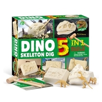 Piratenschätze Ausgrabungsset mit 5 Steinen Grabwerkzeug STEM Archäologie Paläontologie Bildungswissenschaft Weihnachten Geburtstagsgeschenk für Jungen Mädchen Studenten