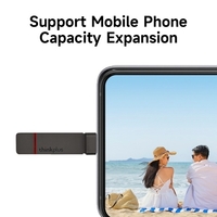 thinkplus TU200 Pro 512 GB USB3.2/Type-C Tragbares Solid-State-U-Disk-Metall-USB-Flash-Laufwerk mit zwei Anschlüssen,  Hochgeschwindigkeitsübertragung,  Grau