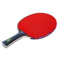 Tischtennisschlägerset 2 Tischtennispaddel und 3 Tischtennisbälle Aufbewahrungstasche
