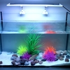 Tomshine Aquarium Light SMD5050 Ultra Thin RGB LED Multi Farbe ändern mit IR 24 Tasten Fernbedienung Flash Strobe Fade Smooth Visual Effect für Tank