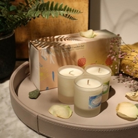 Tooarts Duftkerzen 100% natürliches Sojawachs Lange letzte saubere Verbrennung Exquisite Geschenkverpackung Charmanter Duft Luft auffrischen Perfektes Geschenk Wohnkultur