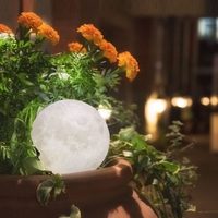 Tooarts Moon Lamp ❤ Valentinstag-Geschenk I LOVE YOU ❤ 3D-Druck LED-Licht Moderne Kunst Home Decor Mond In My Room EU-Stecker 100-240V 50 / 60Hz