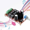 TPA3116D2 2 * 50W Digital Verstärker Board D-Klasse DC12V 24V Dual Channel Audio Stereo Endverstärker