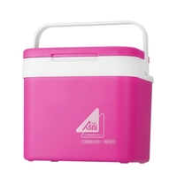 Tragbare 10L Autokühlschrank Eiskübel Mini Kühlschrank Kühler und wärmer Picknick Eisbox für Hautpflege Snacks Dosen nach Hause und Reisen