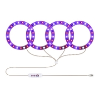 Vierköpfige LED-Pflanzen Grow Light USB-Phyto-Lampe für Pflanzen Vollspektrum-Lampe für Zimmerpflanzensetzlinge Home Plant Growing Light
