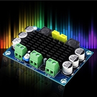 XH-M542 Monokanal HiFi Stereo Audio Verstärker 100 Watt Digital Power Audio Verstärkerplatine DIY Sound System Komponente TPA3116D2 12-26 V