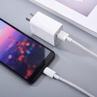 Xiaomi 55W GaN Schnellladegerät & Typ-C Ladekabel MINI Schnellladegerät