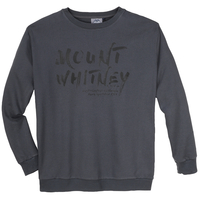 Ahorn Sportswear Sweatshirt grau Schriftprint XXL