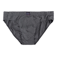 Dunkelblau-weiß gestreifter Sport-Slip von Ceceba Übergröße