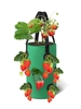 12 Holes Strawberry Planting Basket Non-woven Hanging Bag