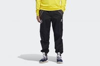adidas Skateboarding Evisen Originals Hose