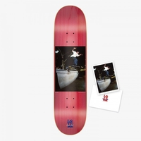 DGK x Gee Kalis Deck 8.1"