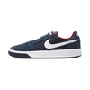 Nike SB Adversary Skate