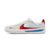 Nike SB BRSB Blue Ribbon Sports