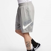 Nike SB Dri Fit Sunday Shorts Grey