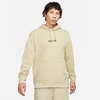 Nike SB Graphic Skate Hoodie Braun