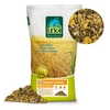 Vitalmix Freizeit