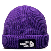 Beanie Logo Box Cuffed Peak Purple