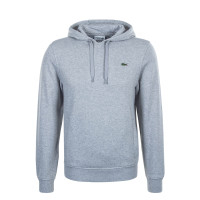 Herren Hoody - SH1527 9YA - Grey