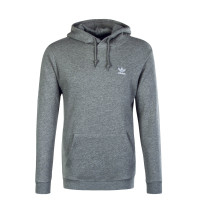 Herren Hoody Essential Grey