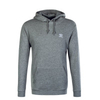Herren Hoody Essential Grey