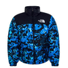 Herren Jacke 1996 Nuptse CLRLKBLHMLYCMPT