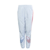 Herren Jogginghose - Tricolor Training Pant - Grey