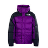 Herren Parka - Himalayan Down Parka Gravity - Purple