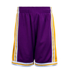 Herren Short - M&N NBA Swingman 2, 0 LA Lakers - Purple
