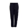 Herren Trainingshose - Wide - Black / Mint