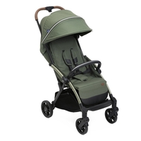 Chicco Buggy Goody XPlus Twinkle Green