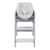 Chicco Crescendo Recliner Grey