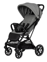 Hartan 2023 Buggy i-maxx 167 stone