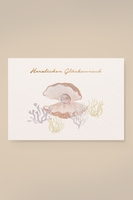 Leevje Postkarte Muschel "Herzlichen Glückwunsch"