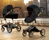 Mima Xari Black / black / frame champagne (mima)